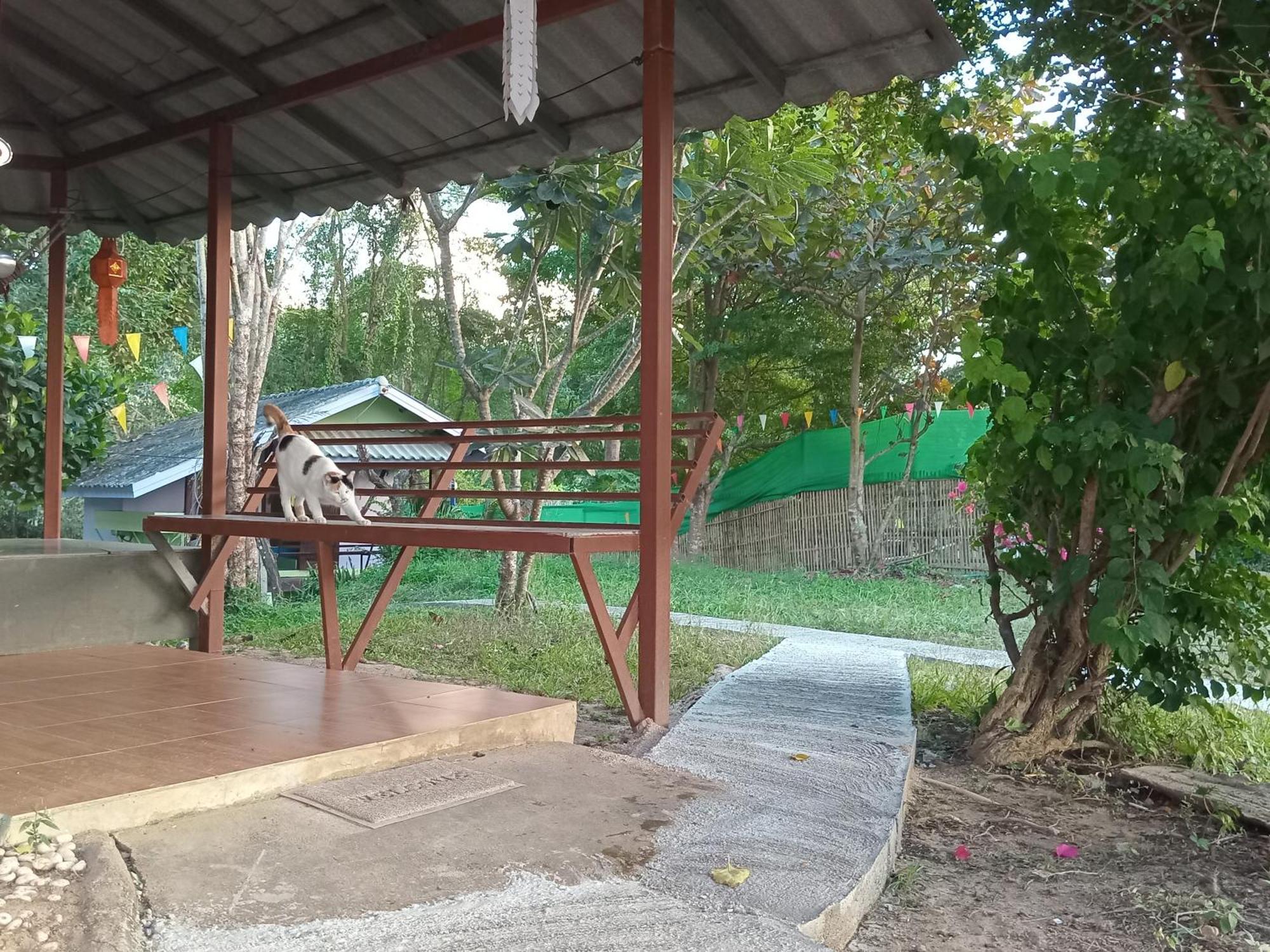 Hotel Chill In Pai Esterno foto